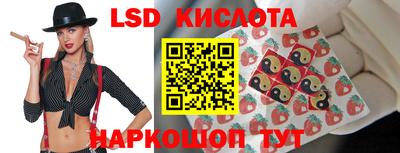 дмт Гай