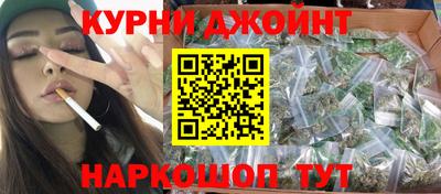 дмт Гай