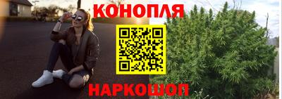 дмт Гай