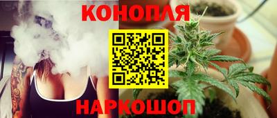 дмт Гай