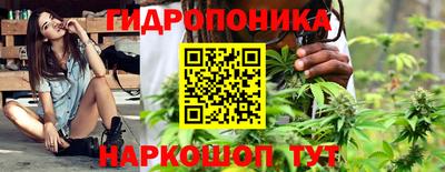 ешки Гагарин