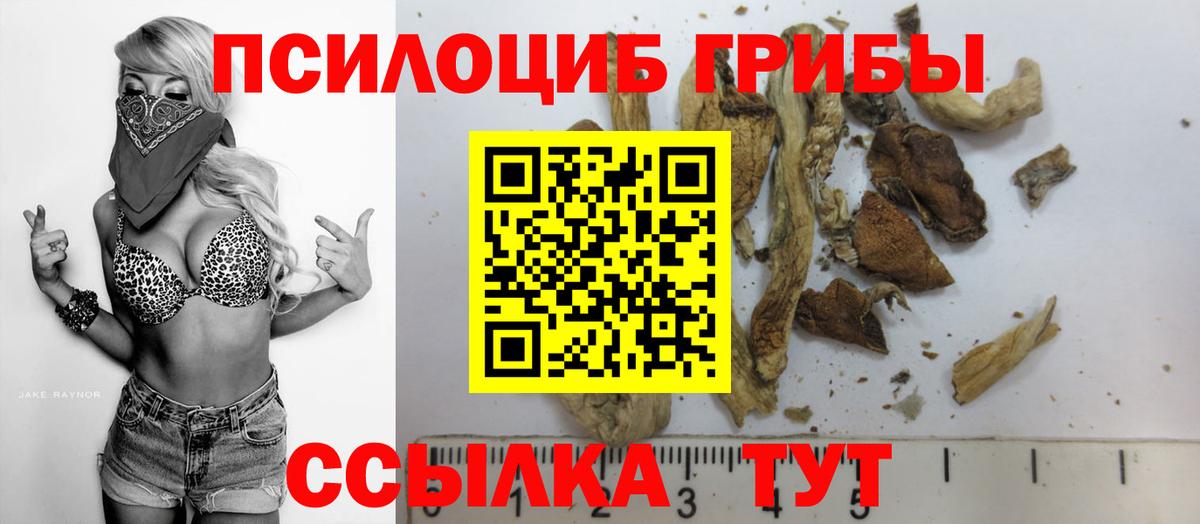 Галлюциногенные грибы Magic Shrooms Дзержинск