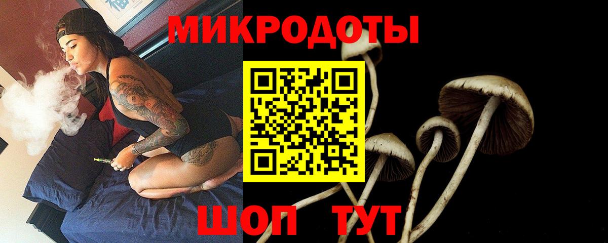 Дзержинск  Галлюциногенные грибы Psilocybe  Вход с VPN 